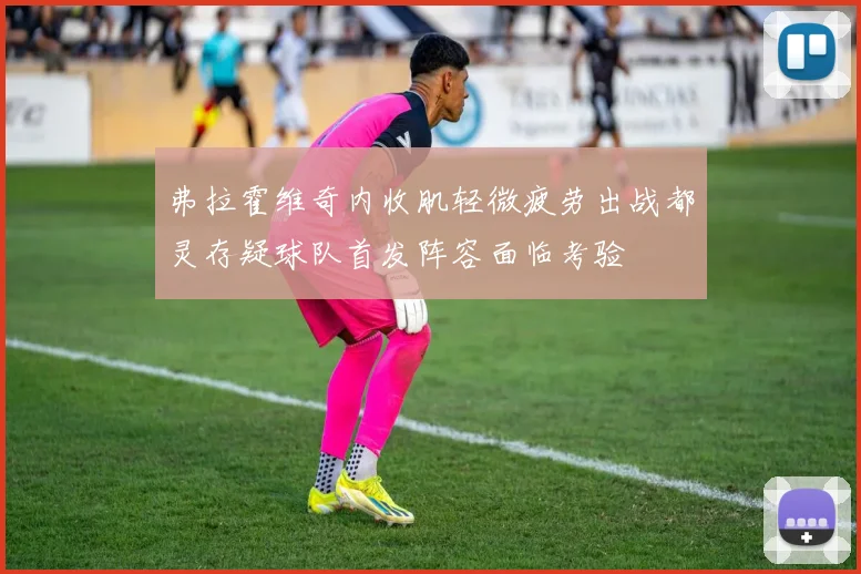 弗拉霍维奇内收肌轻微疲劳出战都灵存疑球队首发阵容面临考验