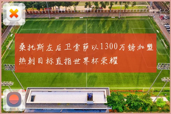 桑托斯左后卫索萨以1300万镑加盟热刺目标直指世界杯荣耀